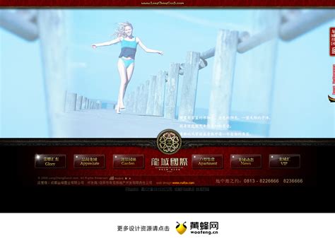 龙城国际房产网站 - - 大美工dameigong.cn