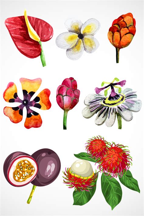 手绘彩色水果花元素矢量图形高清AI图片设计素材免费下载_【包图网】