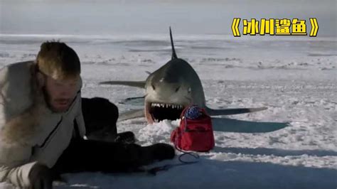 《冰川鲨鱼》极地惊险远古鲨鱼，科考科研人员是如何逃生