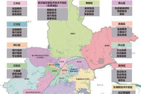 “965”在行动 看武汉市如何绘制首部“产业地图”凤凰网湖北_凤凰网