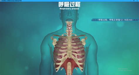 医学教育虚拟现实_四川福济生鸿医疗科技有限公司