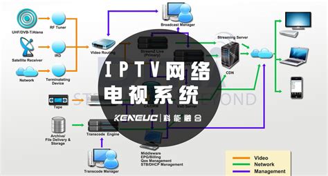 pptv网络电视 官方下载2012免费下载下载,大白菜软件
