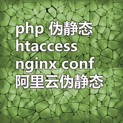 php asp 伪静态htaccess nginx conf json 网站小程序修改网址跳-淘宝网