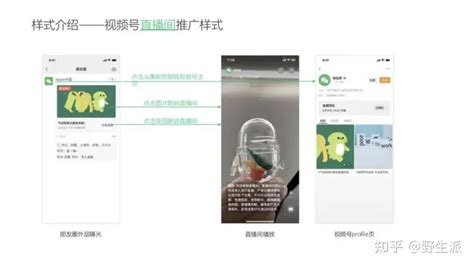 视频号运营指南（把握关键技巧，让视频号创作更加高效）-8848SEO