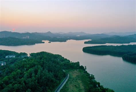 石岩枫：官山国家级自然保护区 - 中国自然保护区生物标本资源共享平台