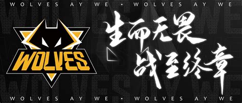 狼队电竞俱乐部与上海东方星光电竞学院达成合作 | 体育大生意