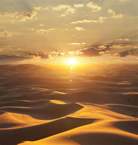 今年《基地》《沙丘》“双星辉映”，全球科幻迷“喜大普奔”_阿西莫夫