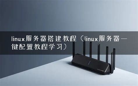 linux下ftp服务器搭建（学这篇就够了）_linux ftp服务器-CSDN博客
