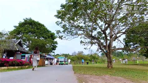 中科院西双版纳热带植物园旅游景点真实照片(3)_配图网