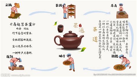 茶叶的基础分类类型和普及~3 - 知乎