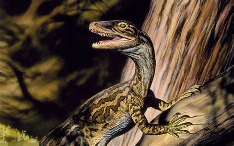 恐龙时代有那三个世纪-百度经验