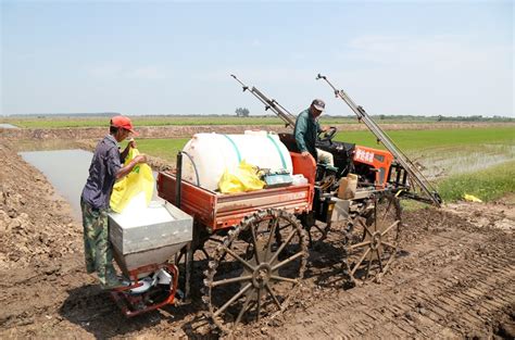 中国农机化导报：华阳河农场机械施肥增效益安徽省华阳河农场