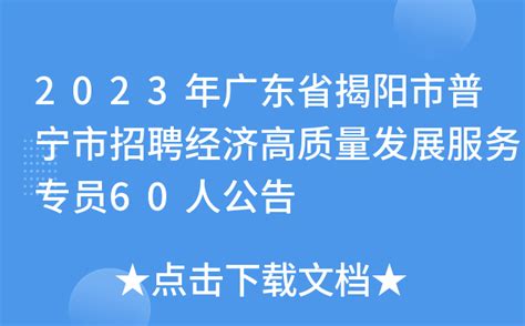 2023年广东省揭阳市普宁市招聘经济高质量发展服务专员60人公告
