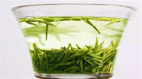 绿茶是什么意思 —【发财农业网】