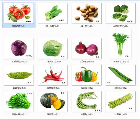 蔬菜卡片认识,认识蔬菜卡片,蔬菜卡片图片(第2页)_大山谷图库