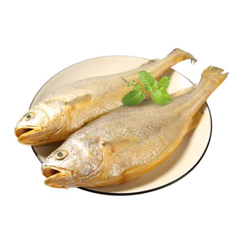 三都港 冷冻有机黄花鱼500g礼盒装 大黄鱼 海鱼 生鲜 鱼类 海鲜水产-商品详情-菜管家