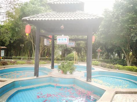 2023九华山庄温泉文化主题公园玩乐攻略,温泉很齐全，各种药池，儿童...【去哪儿攻略】