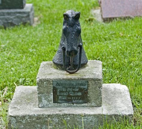 美国宠物公墓：给爱宠们一个最后的归宿_手机新浪网