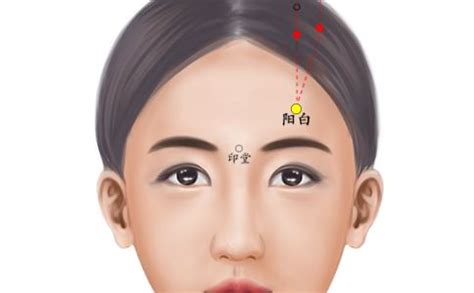 阳白的准确位置图图片 阳白的准确位置图图片
