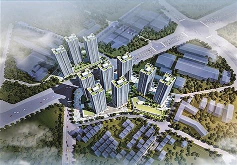 资产规模超百亿元，龙华建设迈入高质量发展新进程_深圳新闻网