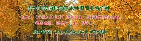 联系我们-邳州市茂原银杏苗木种植专业合作社