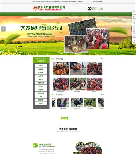 贵阳专业的个性化网站设计公司(贵阳网站设计工作室有哪些)_V优客