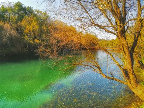2022花溪国家城市湿地公园十里河滩景区游玩攻略,花溪湿地公园是非常值得去的...【去哪儿攻略】