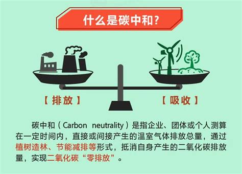 专家带你了解生物炭循环是什么_时科生物科技（上海）有限公司