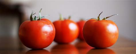 番茄又叫西红柿、它们的功效与作用及禁忌都有哪些？ - 西红柿 - 蛇农网