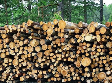 木材生意一年赚多少，怎么做好这门生意_行业资讯_木头云