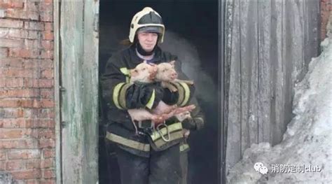 暖心！火灾中救出一只小猫，俄消防员跪地为它输氧