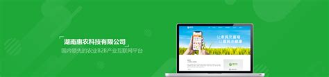 湖南惠农科技有限公司定制网站-鱼竹科技互联网品牌营销、小程序建设