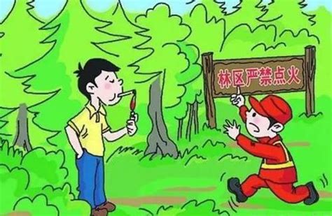 关于关注“中国森林防火”微信公众号的函