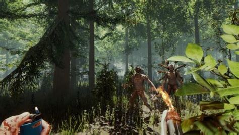 开放世界生存冒险《森林》限时特惠开启 Steam好评如潮_玩一玩游戏网wywyx.com