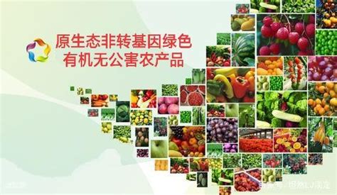 绿色食品公司起名大全,原生态农产品商标名称_创意起名网
