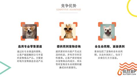 猫咖商业计划书-宠物生活馆创业计划书Word模板下载_编号lbxgvdyx_熊猫办公