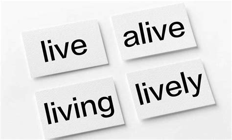 live是什么意思 区分 live、life_华夏智能网