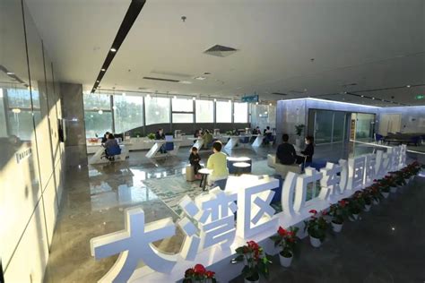 广州南沙国际物流中心（北区）项目竣工验收-港口网