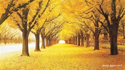 描写秋天的景色