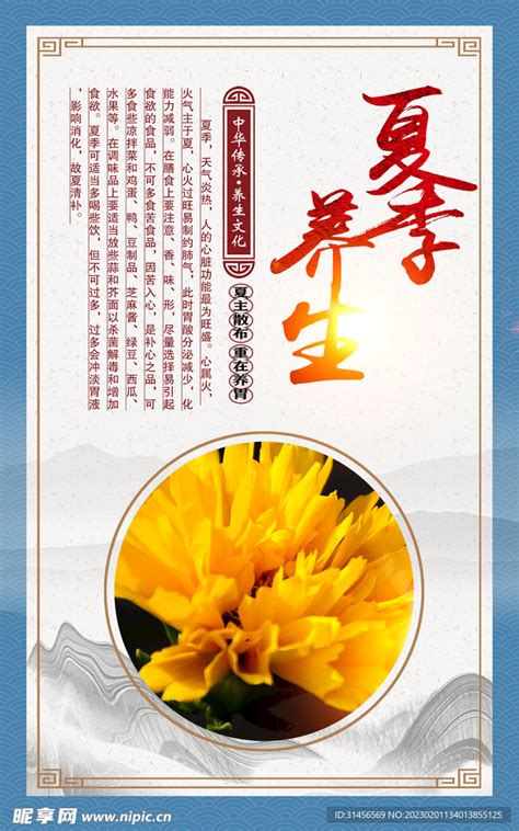 Transcends 的图像结果