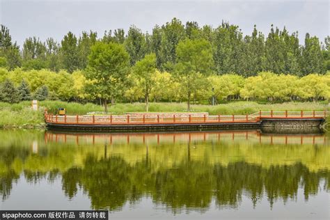 高清美图 | 北京东郊湿地公园的秋色之美_北晚在线