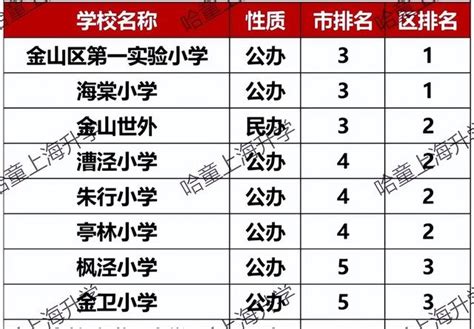 奉贤区小学排名前十名 上海16区小学梯队排名是什么 - 兜在学
