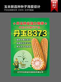 玉米种业农作物宣传设计图__广告设计_广告设计_设计图库_昵图网nipic.com