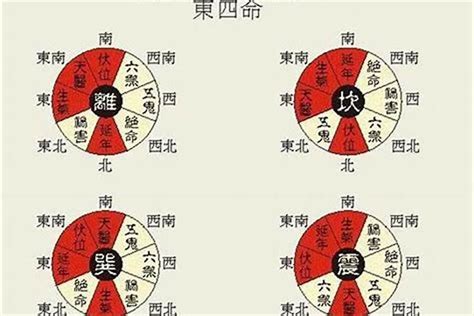 如何区分东四宅和西四宅？房子怎么区分东南西北方向_风水_若朴堂文化