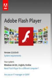 Adobe Flash Player 32-Bit – RCCG