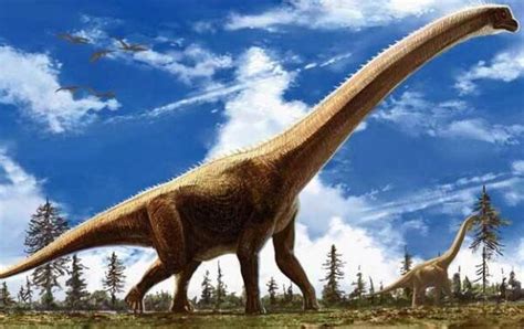波塞东龙：已知最高的恐龙（17米高/北美洲超巨型恐龙）-小狼观天下