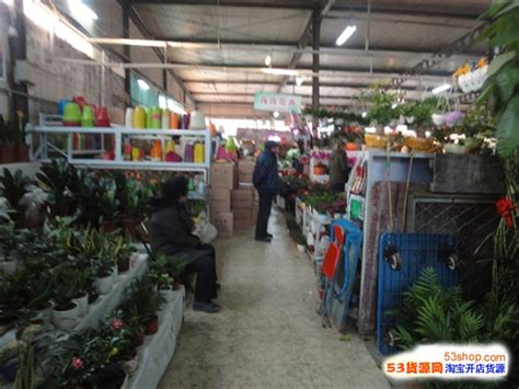 北京最大的花鸟鱼虫市场在哪（北京花鸟市场地址大全） - 尹华峰博客