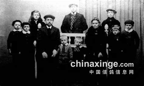 百年詹森专题图片-中国信鸽信息网 www.chinaxinge.com
