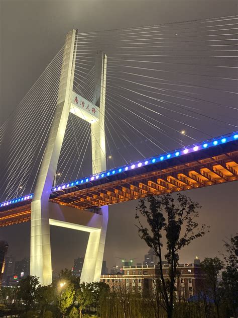 上海南浦大桥夜景摄影图__自然风景_旅游摄影_摄影图库_昵图网nipic.com