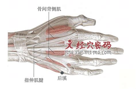 后溪的准确位置图图片